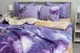 Комплект постельного белья с компаньоном S538 TAG satin (еmax)-548