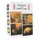 Лампа светодиодная RGB ProjeСtion Lamp Head WZ886-1-BlaСk