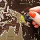 Скретч карта мира My Map Chocolate edition (англ.)