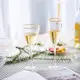 Бокал для шампанского OLens Клио AT10387 275 мл