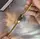 Часы наручные Skmei 1123GD Gold