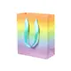 Подарочный пакет PPW PAPER ZD028 Rainbow Big для подарков