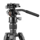 Штатив Vanguard Vesta Go 264CV12 (Vesta Go 264CV12)