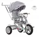 Трехколесный велосипед Turbo Trike M-4058-19 серый