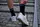Носки водонепроницаемые Dexshell Ultra Thin Socks, р-р XL, черные