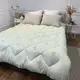 Одеяло евро стеганое зимнее из бамбукового волокна Leri Max 21530 195х210 см салатовое
