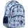 Рюкзак GoPack Education GO22-175M-3 Funny cats