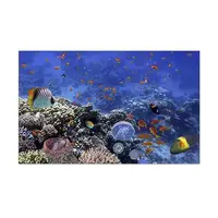 Море для акваріума наклейка з рибами 70х115 см (1150х700)