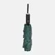 Зонт полный автомат CV1ZNT24-green