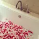 Лепестки роз (уп. 120шт) кораллово-желтые