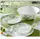 Сервиз столовый Luminarc Romancia Anis H2428 19 предметов