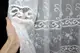 Тюль шифоновая с вышивкой, "Виола" Цвет белый Код 995т