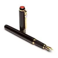 Перьевая ручка PICASSO FS-998-F 138 мм чёрная