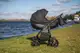 Детская коляска 2 в 1 Angelina Discovery Evolution черная DE-24