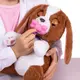 Интерактивный игровой набор Baby Paws – Щенок у ветеринара