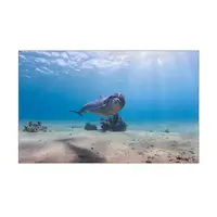 Морская наклейка в аквариум 55х90 см.