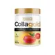 Препарат для суставов и связок Pure Gold Protein CollaGold, 300 грамм Манго