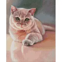 Алмазная мозаика "Любимый пушистик" ©Юлия Томеско Идейка AMO7530 40х50 см