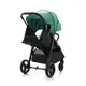 Прогулочная коляска Kinderkraft Rine Juicy Green (KSRINE00GRE0000)
