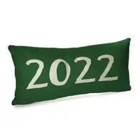 Подушка для дивана бархатная 2022 50x24 см 52BP_22NG014