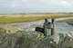Бинокль Kowa SV II 8x42 (11904)