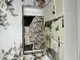 Glitch летний набор с вафельным пике. Romeo home Турция