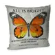 Подушка диванная с бархата All is bright (butterfly) 45x45 см (45BP_FLORA002)
