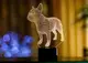 Сменная пластина для 3D светильников "Французский бульдог" 3DTOYSLAMP