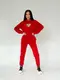 Теплый спортивный костюм AO5055 Красный L/XL