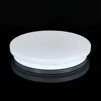 Светильник DL-R101-24-4-0 4500K 24W BM