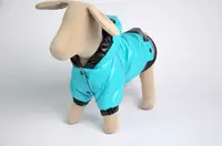 Курточка 305716 Zoobaza - 31х46, бірюзовий