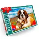 Пазл "Лучшие друзья" Danko Toys C260-13-08, 260 эл.