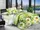 Комплект постельного белья BR050 TAG polycotton evro-671