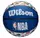 Мяч баскетбольный Wilson NBA ALL TEAM BSKT RWB size 7