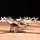 Коллекционная модель Time Spruce Goose Airplane MT081