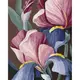 Картина по номерам "Петушки" 40x50 см