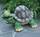 Черепаха копилка 18 см КП301 цв Гранд Презент КП301 цв