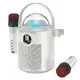 Акустика-караоке HOCO Pearlescent BT speaker with 2mic BS59 |BT5.1, TWS/TF/AUX, 5h|