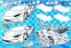 Раскраска с заданиями + 114 наклеек "Hot Wheels", А4
