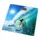 Весы напольные Rotex RSB18-P 180 кг