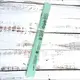 Декор бумажные Помпоны 40см (мятный 0014)