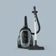 Пылесос для сухой уборки без мешка Electrolux EL61С2OG 700 Вт