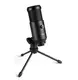 Студийный микрофон FlyDay F3 (USB) со штативом Black