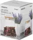 Банка для хранения Ardesto Fresh Конус AR-1374-BLС 740 мл