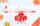 Вакуумный упаковщик Freshpack Pro + 10 пакетов (6716)