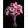 Картина по номерам на черном фоне "Розовый букет" 40х50 см