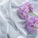 Ткань шифон стрейч с напылением Сильвер 55 гр/м2 150 см для платьев, блуз, декора и аксессуаров