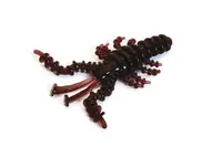 Силікон Bait Breath U30 Mosya 1,5in / 38.1мм / 14шт / колір 135 FS00000600