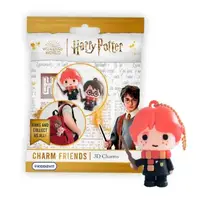 Фигурка-сюрприз на цепочке COOL THINGS – HARRY POTTER (микс видов)