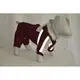 Костюм для собаки Аляска 58*86